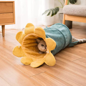 Unleash the Fun with Creative Fruit Funny Pet Cat Tunnel Toys!