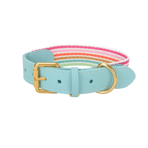 Elevate Your Dog's Style with Our Woven Pet Collar