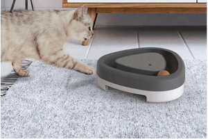Keep Your Cat Entertained with the Smart Kitty Spinner!
