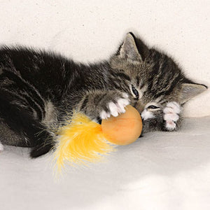 Unleash the Fun with Our Interactive Catnip Toys