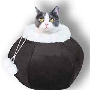 The Ultimate Cat Bed for Your Indoor Feline Friend