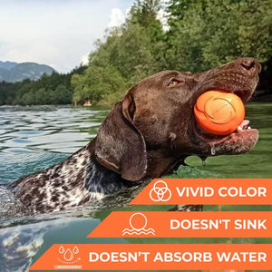 Unleash Your Dog's Playtime Potential with the Outdoor Barbell Dog Toy