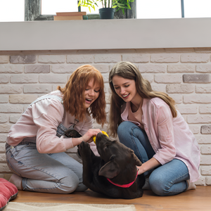 How to Choose the Perfect Pet Bed for Your Furry Friend