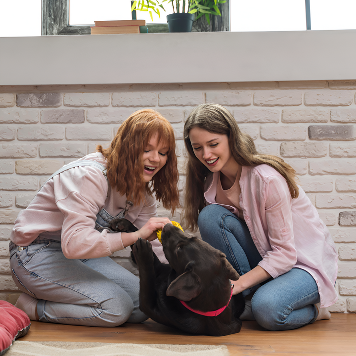 How to Choose the Perfect Pet Bed for Your Furry Friend