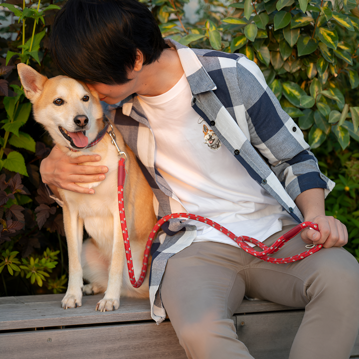 Why Leashes and Collars Matter for Your Pet’s Safety