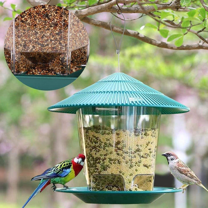 Attract Nature's Beauty with Our Transparent Hanging Bird Feeder