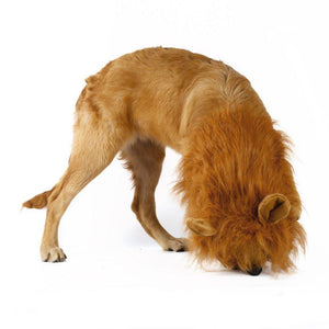 Transform Your Pup into a Majestic Lion with Our Lion Theme Dog Wig