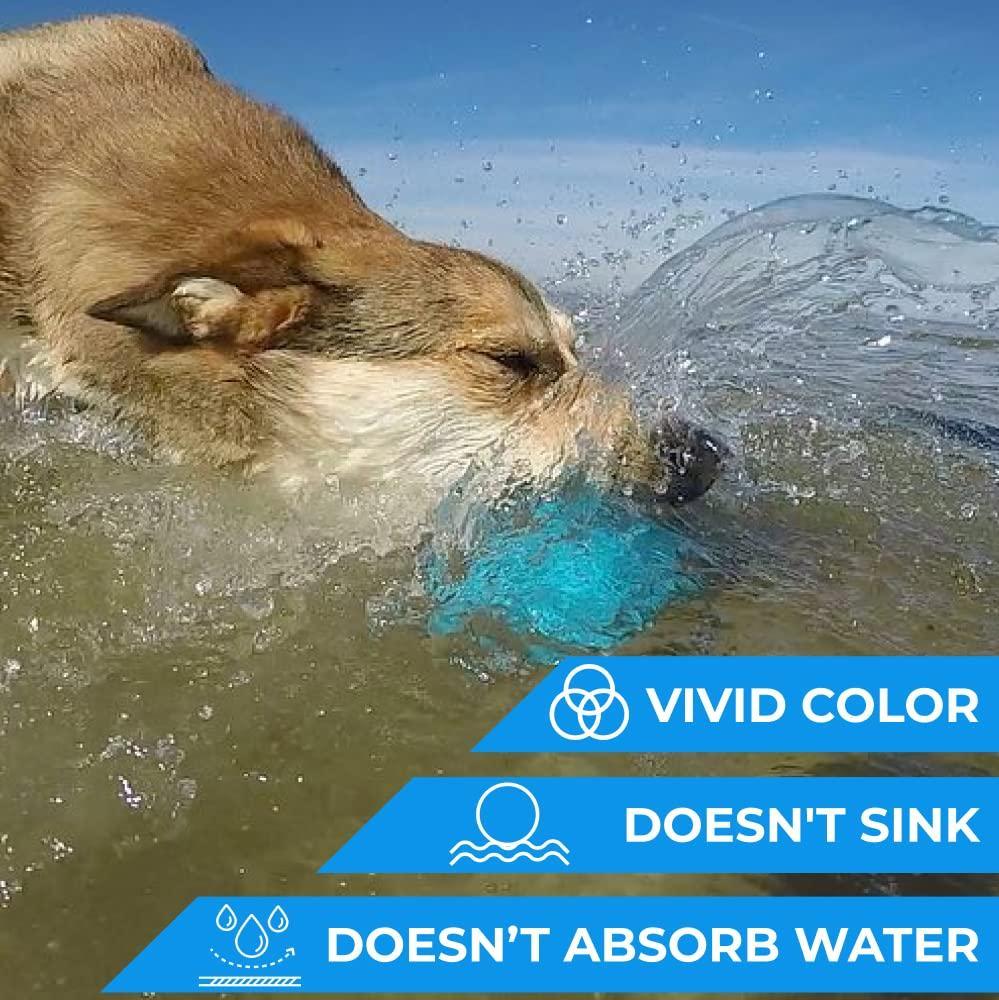 Outdoor Barbell Dog Toy