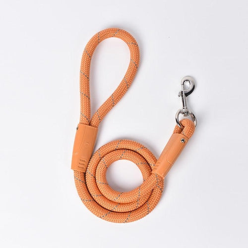 Small Dog Leash Pet Traction Belt