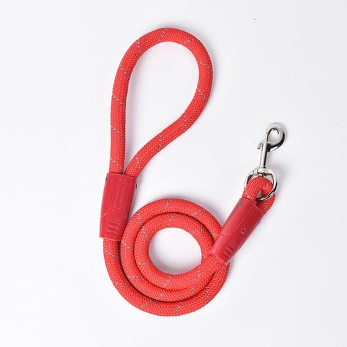 Small Dog Leash Pet Traction Belt