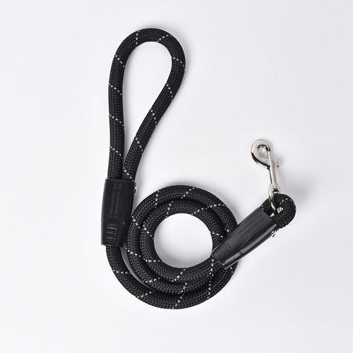 Small Dog Leash Pet Traction Belt