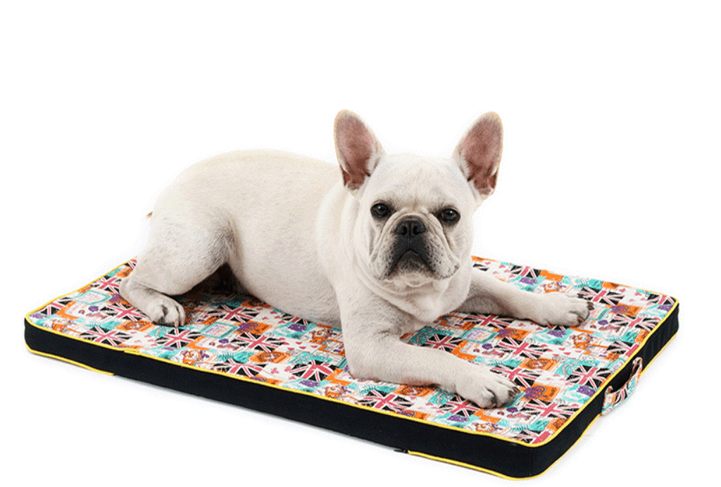 Luxury Printed Canvas Dog Bed