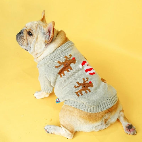 Festive Pet Sweater
