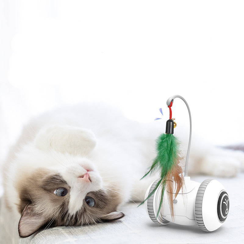 Interchangeable Pet Feather Toys
