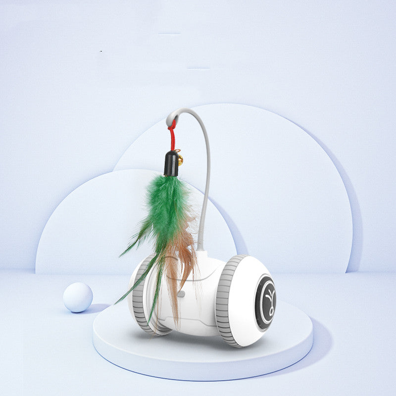 Interchangeable Pet Feather Toys