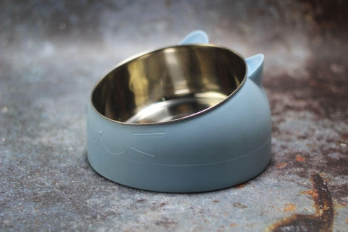 Elevated Slanted Pet Bowl