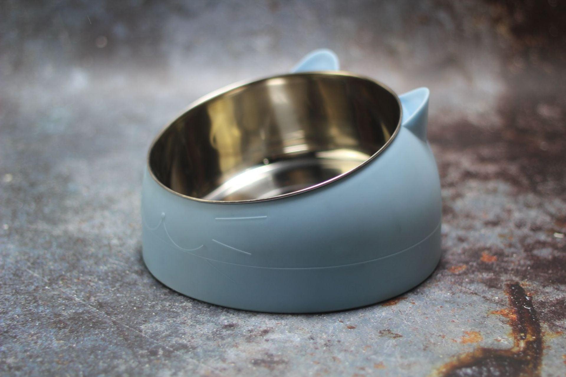 Elevated Slanted Pet Bowl