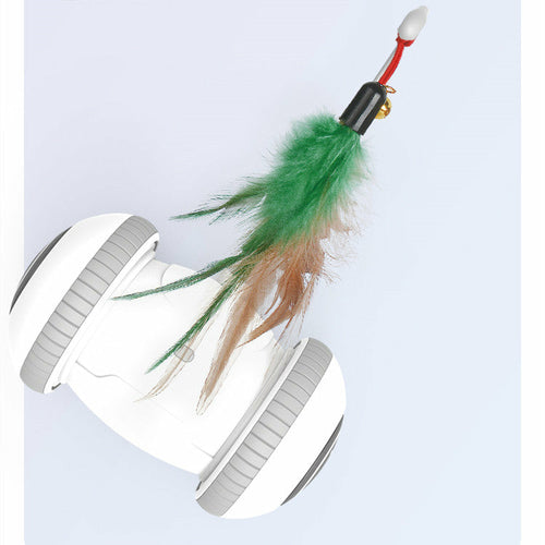 Interchangeable Pet Feather Toys