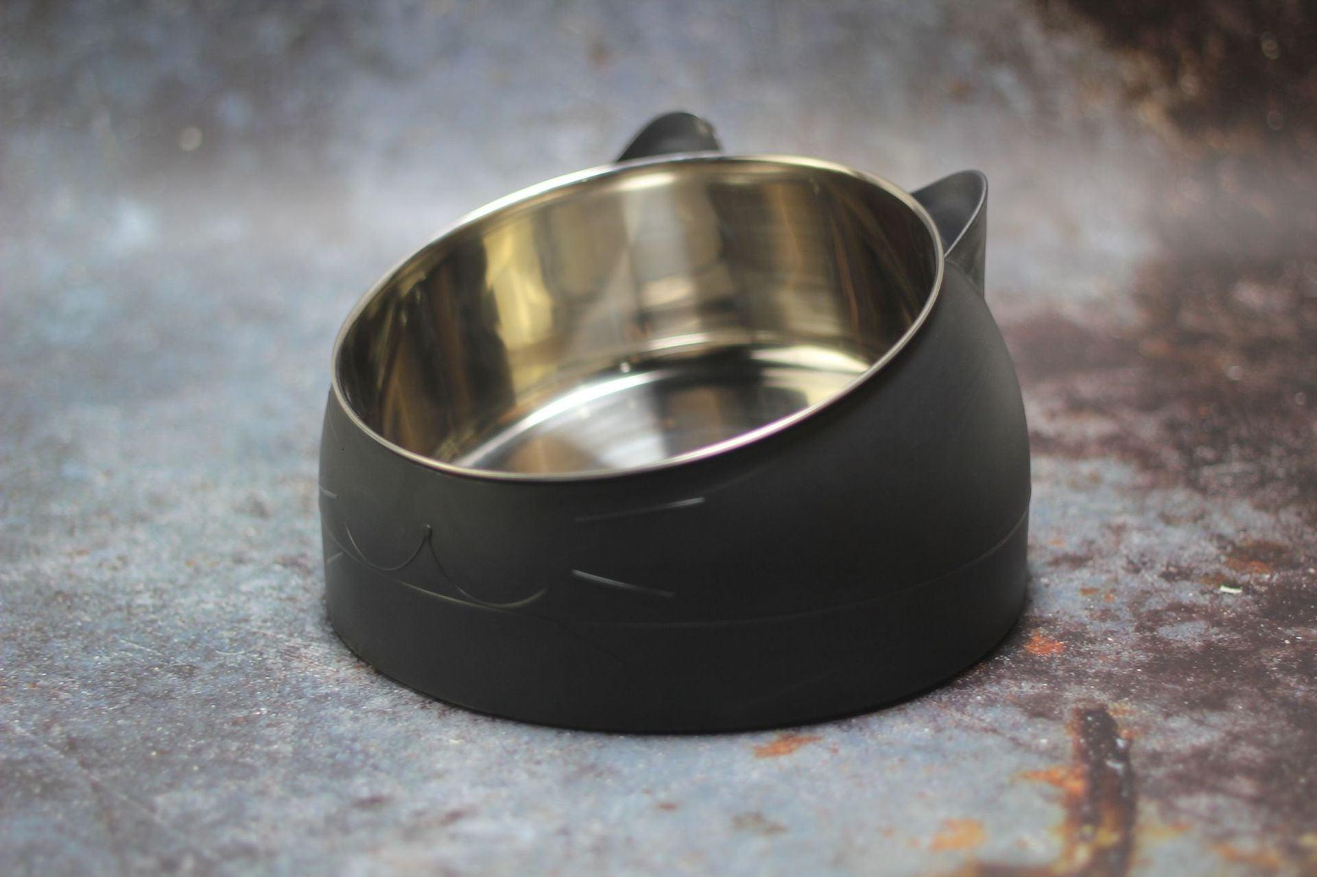 Elevated Slanted Pet Bowl