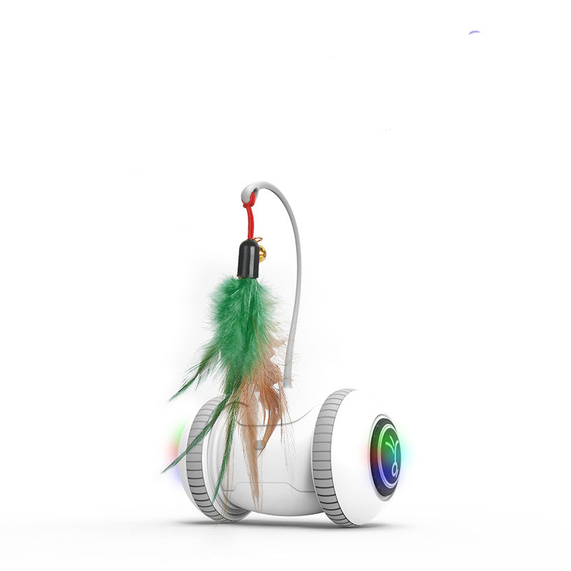 Interchangeable Pet Feather Toys