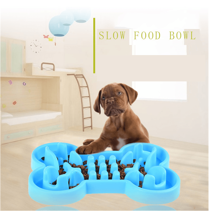 Slow Feed Travel Bowl