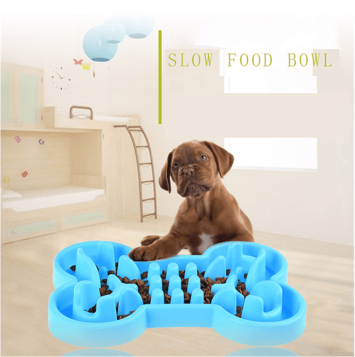 Slow Feed Travel Bowl