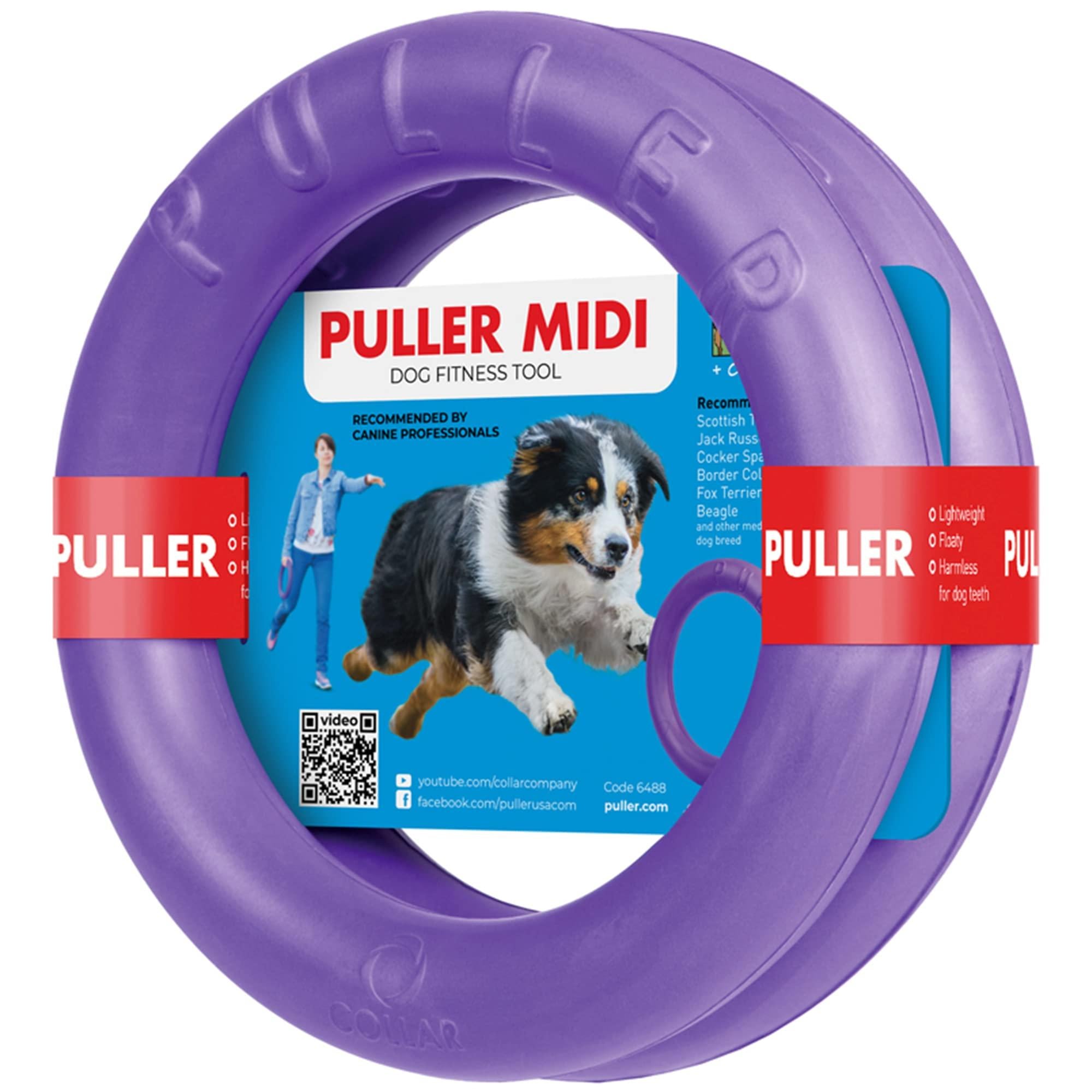 Puller Outdoor Dog Ring Toys