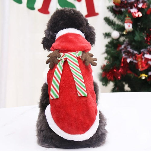 Festive Pet Holiday Costume
