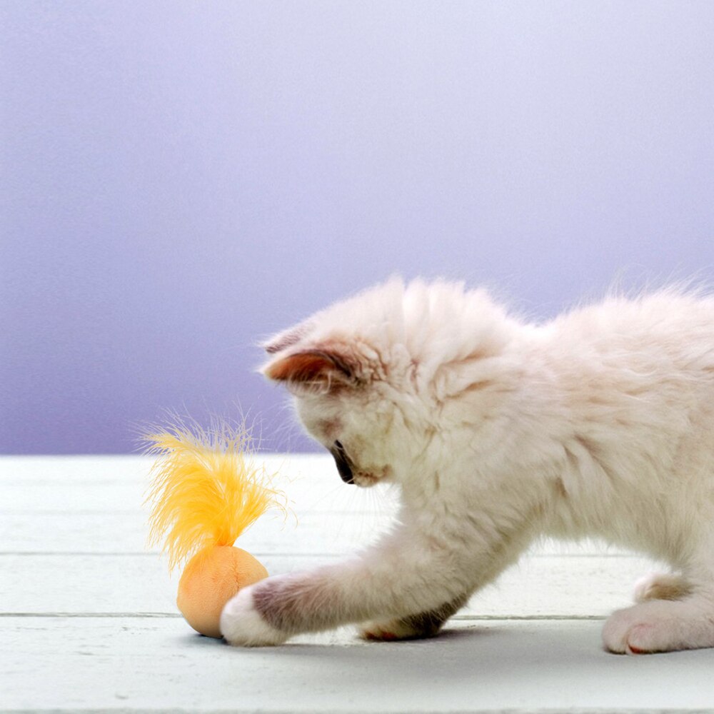 Cat Toys Funny Interactive Catnip