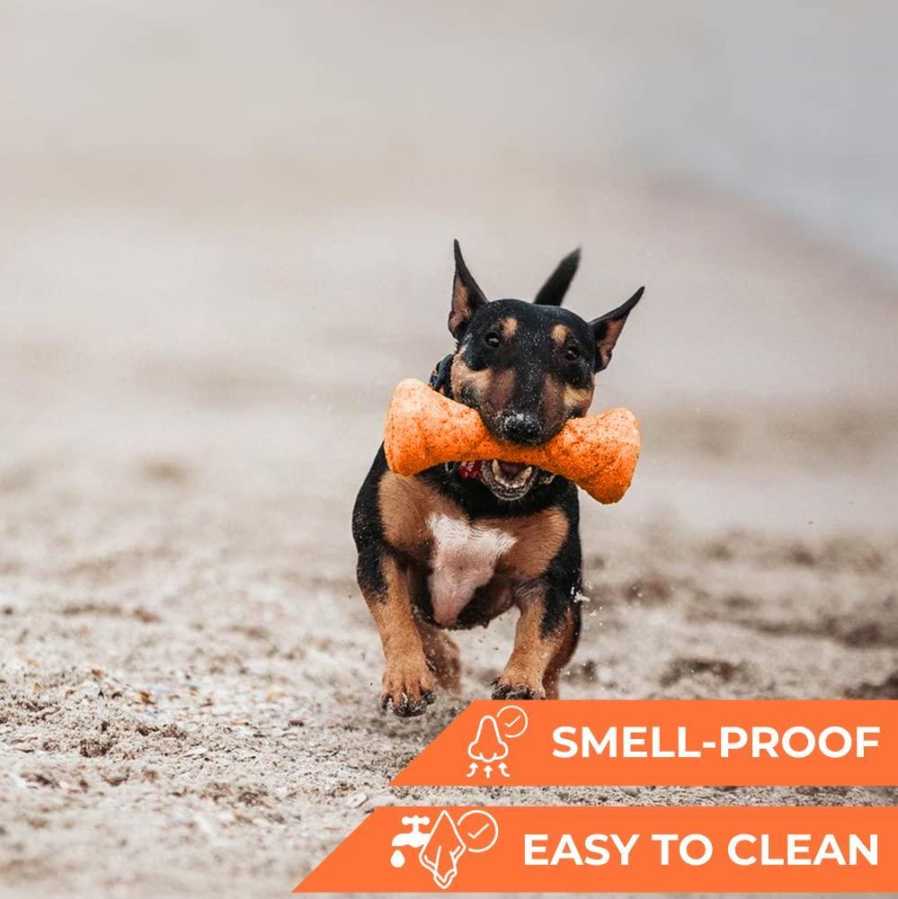 Outdoor Barbell Dog Toy