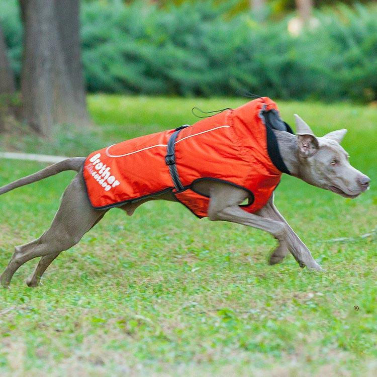 Reflective Nylon Pet Raincoat