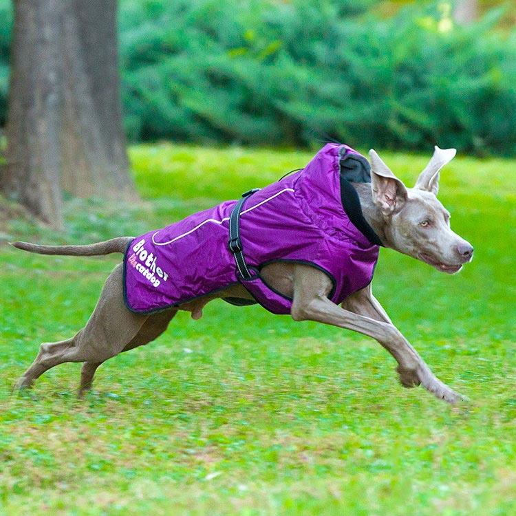 Reflective Nylon Pet Raincoat
