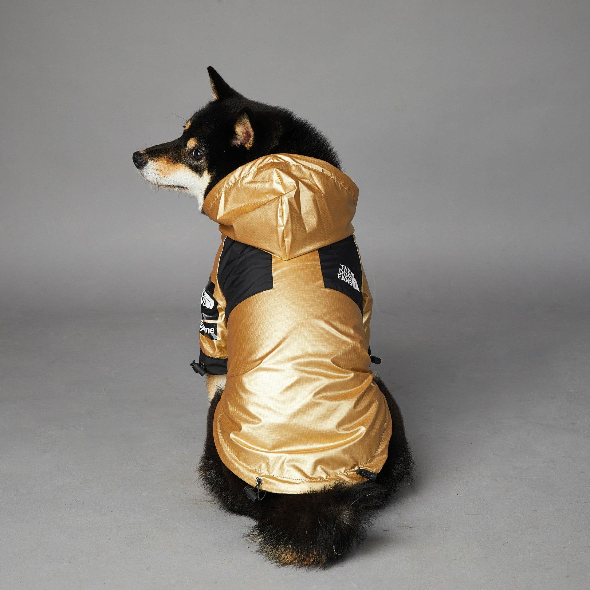 Golden Dog Raincoat