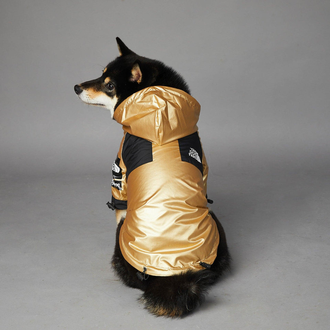 Golden Dog Raincoat