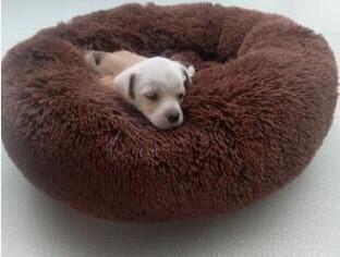 Pet Dog Bed Comfortable