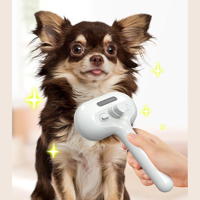 Pets Hair Remover Brush