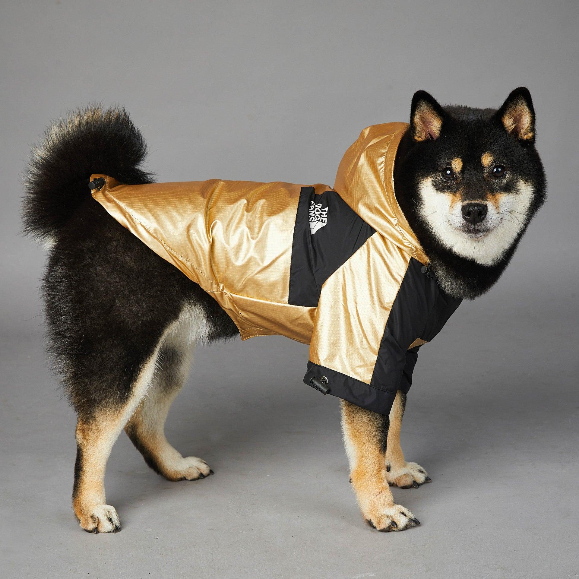 Golden Dog Raincoat