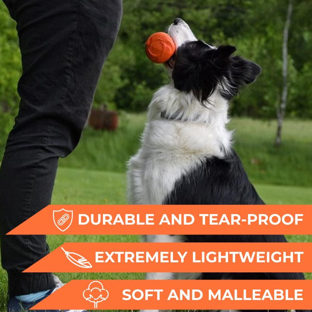 Outdoor Barbell Dog Toy
