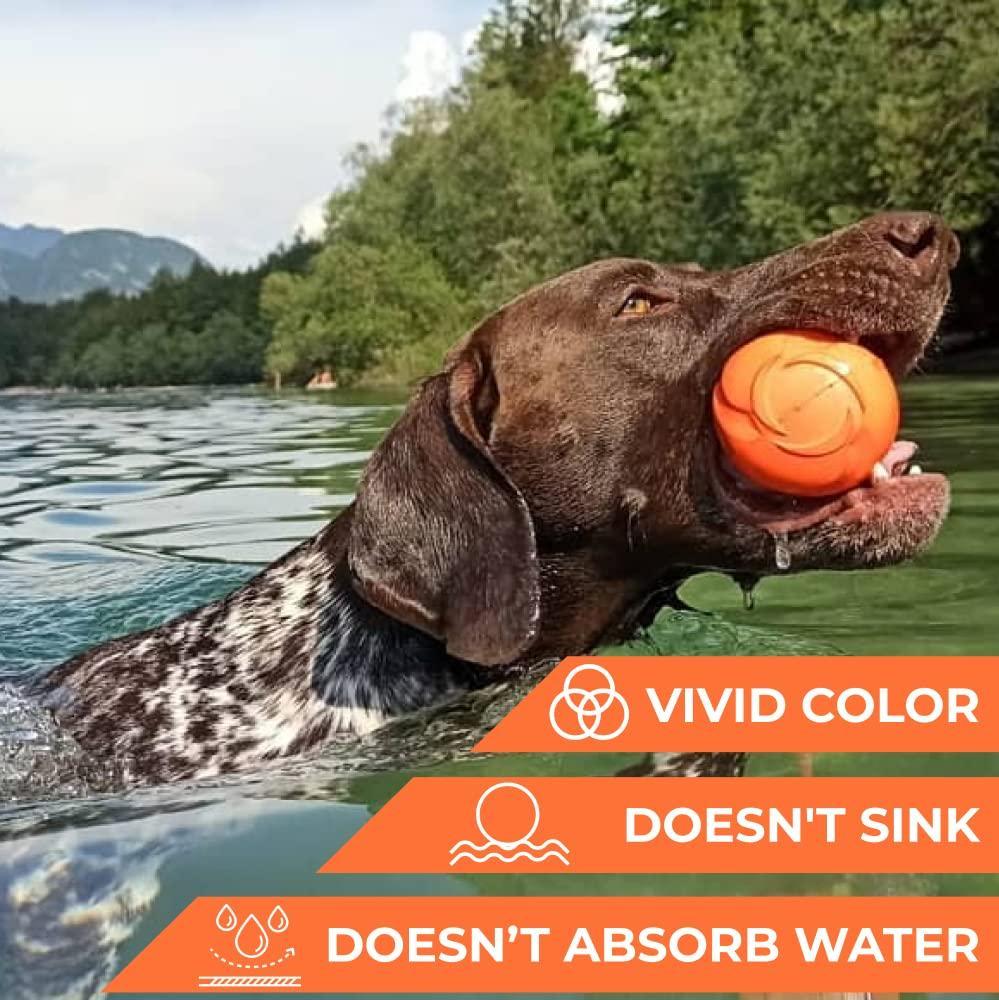 Outdoor Barbell Dog Toy