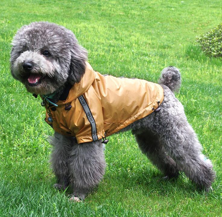 Hooded Pet Raincoat Waterproof And Warm