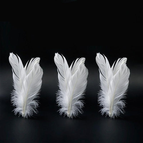 Funny Cat Tumbler Toy