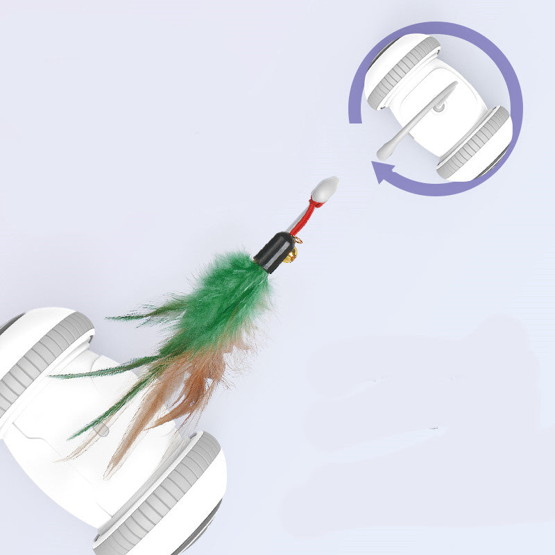 Interchangeable Pet Feather Toys