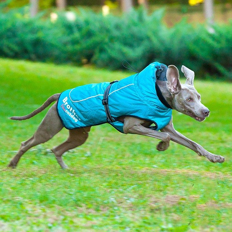 Reflective Nylon Pet Raincoat