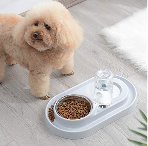 Pet Bowls with Automatic Water Bottle