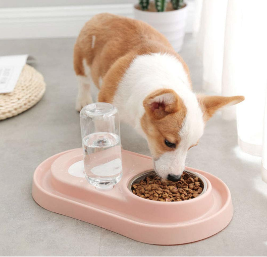 Pet Bowls with Automatic Water Bottle