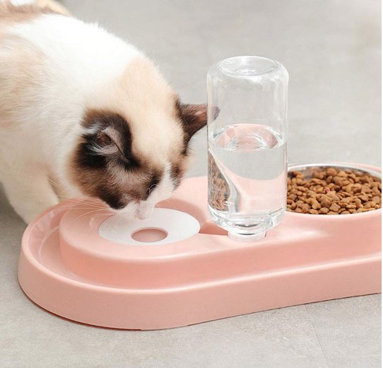 Pet Bowls with Automatic Water Bottle
