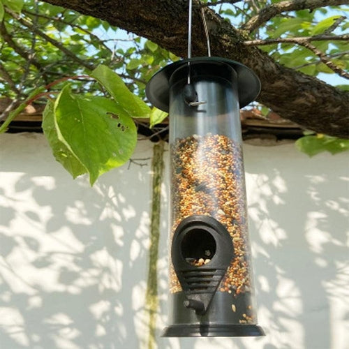 Automatic Hanging Bird Feeder