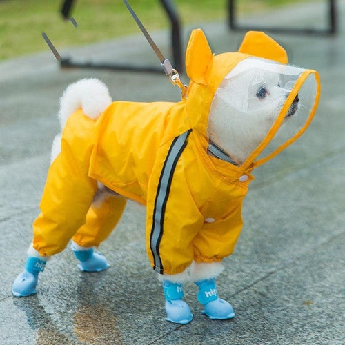 Autumn Pet Rainy Clothes