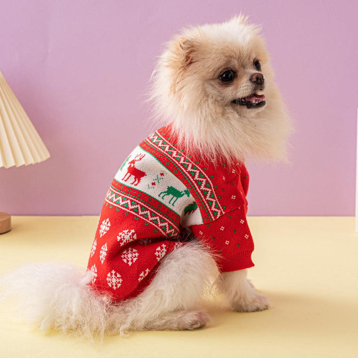 Festive Holiday Pet Sweater