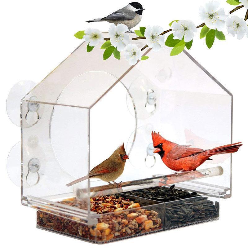 Smart Bird Feeder With Live Camera Feed